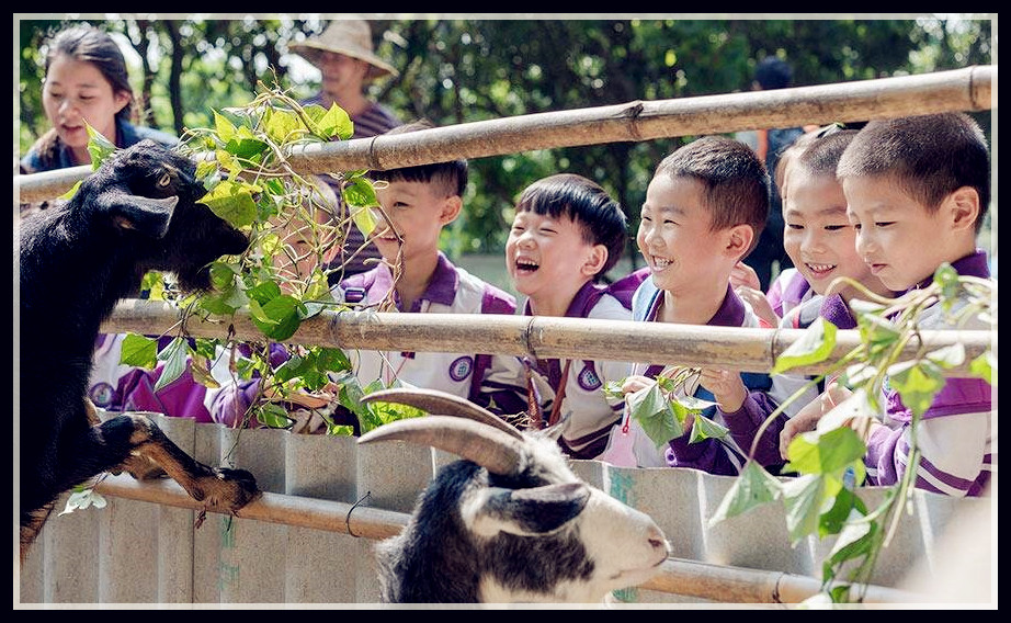 武汉乐农湖畔生态园武汉学生出游好地方