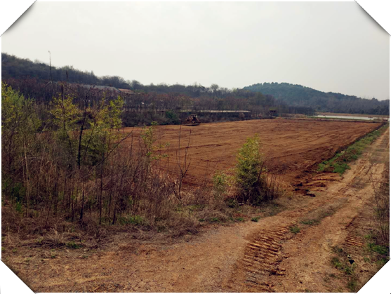 武汉乐农湖畔生态园趣味运动会场地建设前