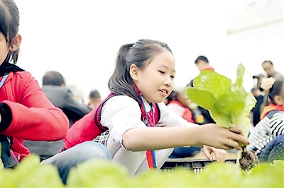 武汉乐农湖畔生态园武汉学生一日游