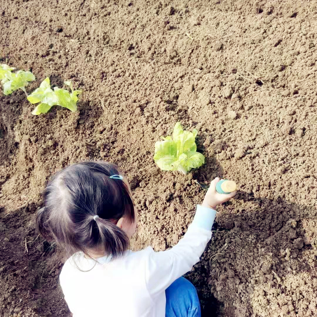 武汉班级出游乐农湖畔生态园