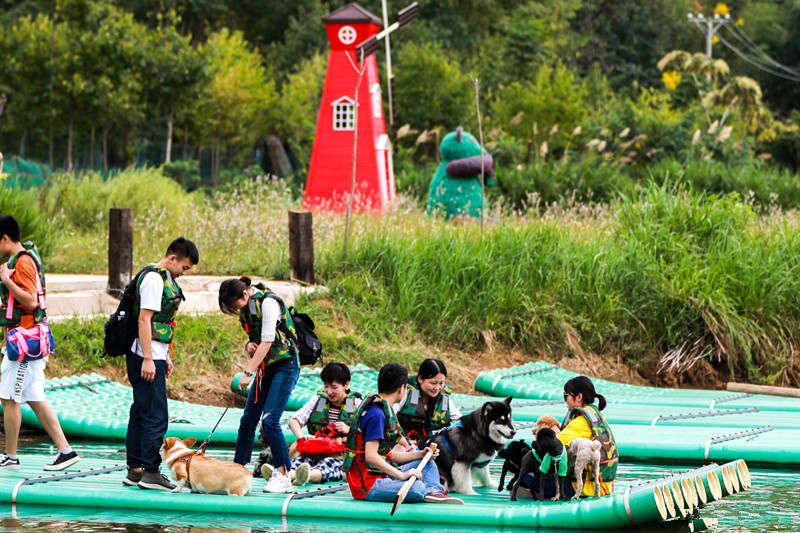 武汉乐农湖畔生态园宠物基地