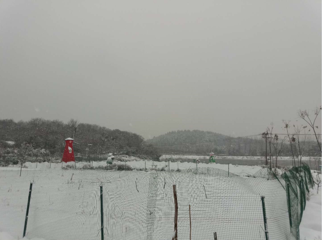 武汉农家乐旅游休闲度假村打雪仗