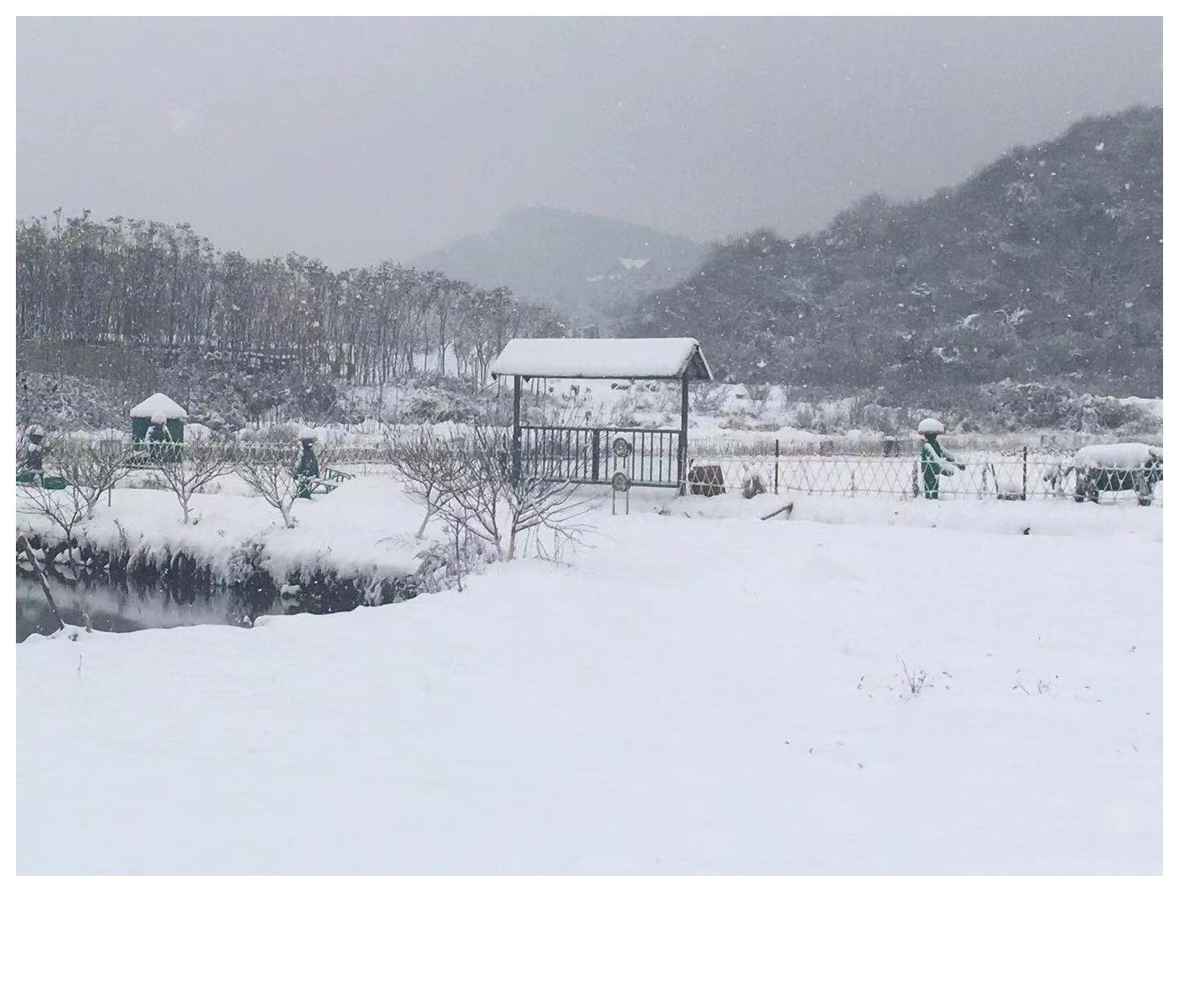 武汉班级出游好地方乐农湖畔生态园