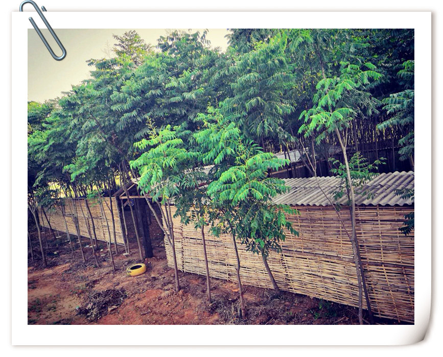 武汉班级出游乐农湖畔生态园