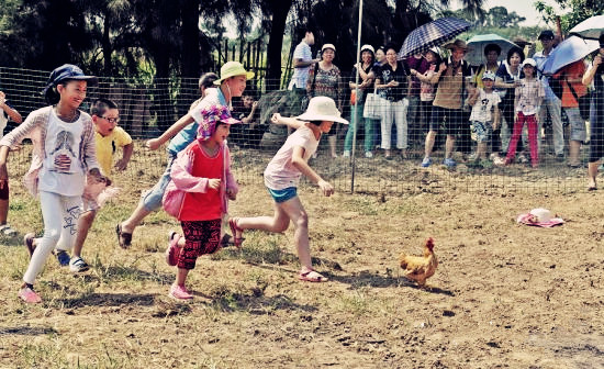武汉学生出游野炊抓鸡