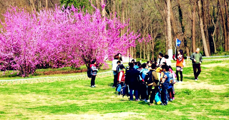 武汉学生一日游乐农湖畔生态园