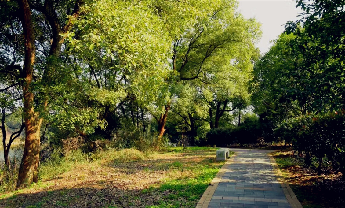 武汉学生一日游乐农湖畔农家乐