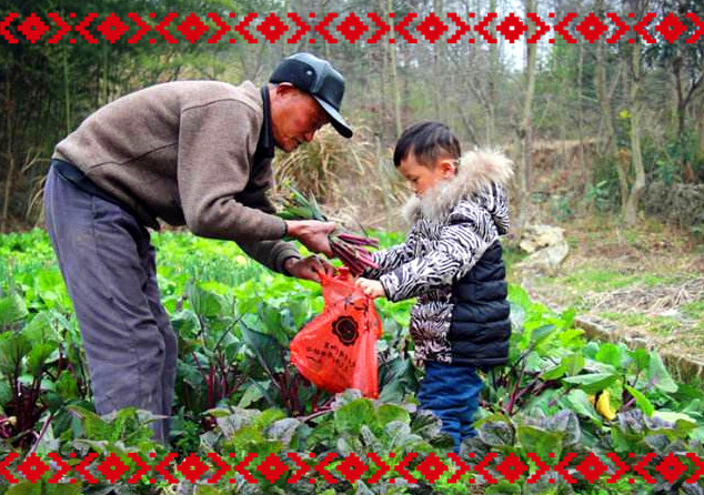 武汉学生春游出游采摘蔬菜
