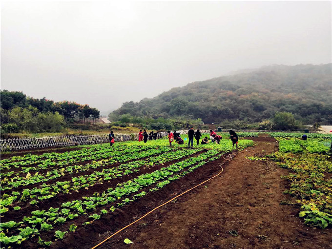 武汉休闲农家乐好去处