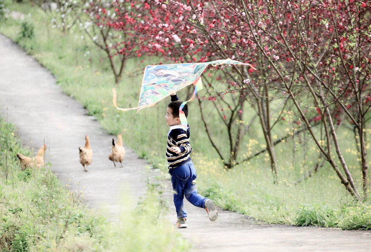 武汉学生出游乐农湖畔生态园
