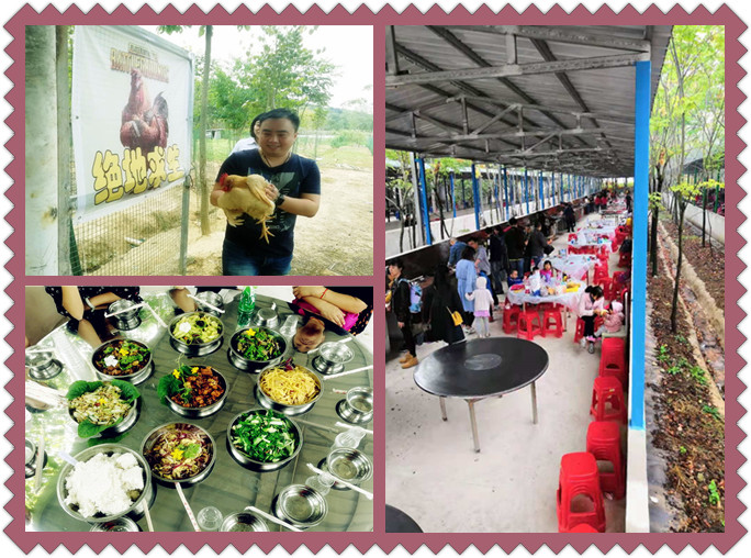 武汉乐农湖畔生态园野炊用餐好地方