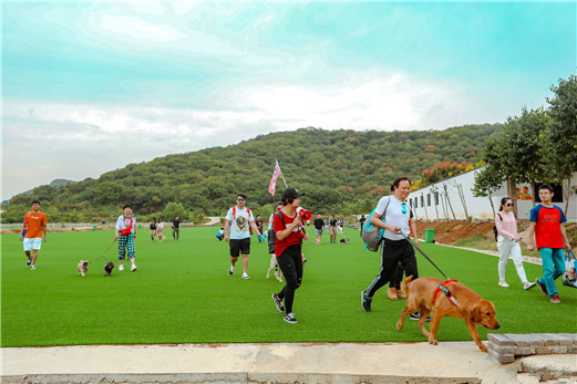 武汉休闲户外宠物运动会
