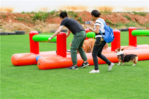 武汉农家乐春游野炊宠物出游