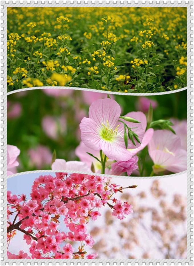 武汉春游农家乐休闲旅游