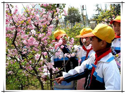 武汉春游农家乐休闲一日游