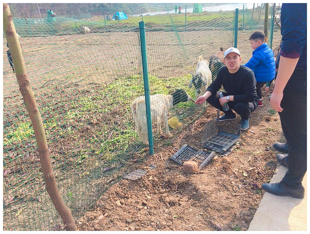 武汉乐农湖畔生态园春游出游