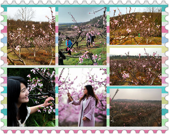 武汉好玩的农家乐踏青赏花