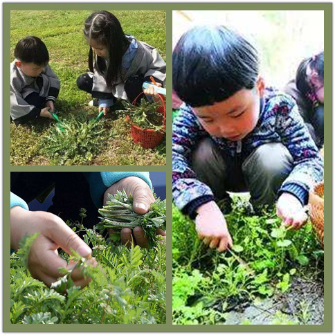 武汉学生一日游休闲旅游农家乐体验