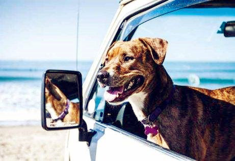 武汉乐农湖畔生态园好玩的农家乐