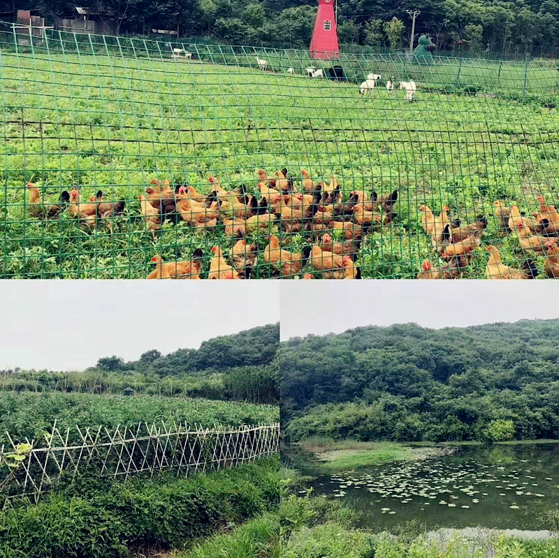 武汉乐农湖畔生态园休闲采摘农家乐一日游