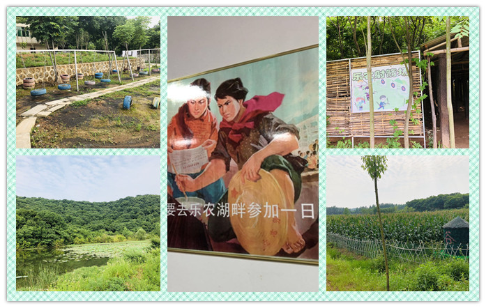 武汉亲子游好地方，乐农湖畔生态园
