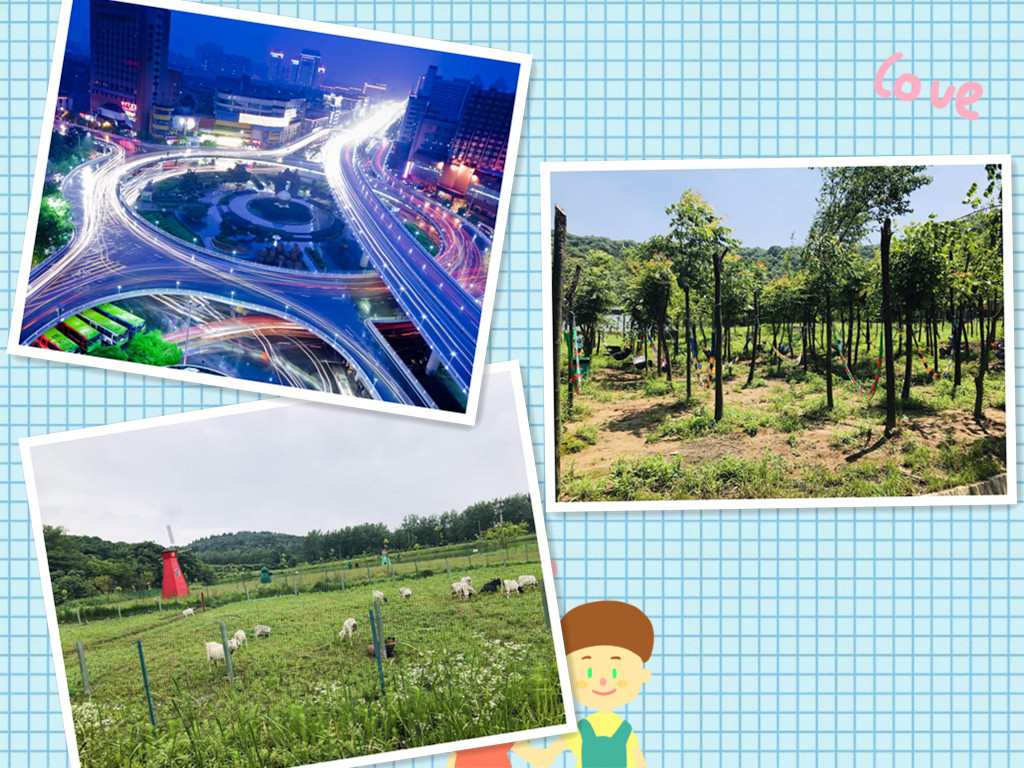 武汉野炊用餐乐农湖畔生态园