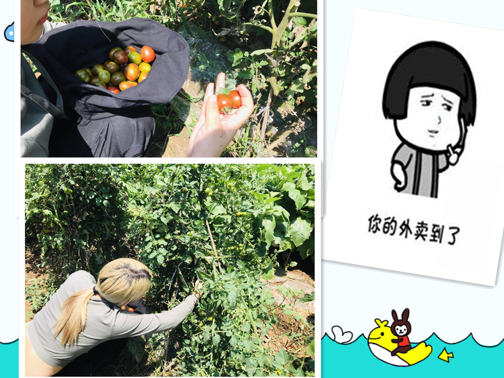 武汉野炊休闲一日游用餐做饭