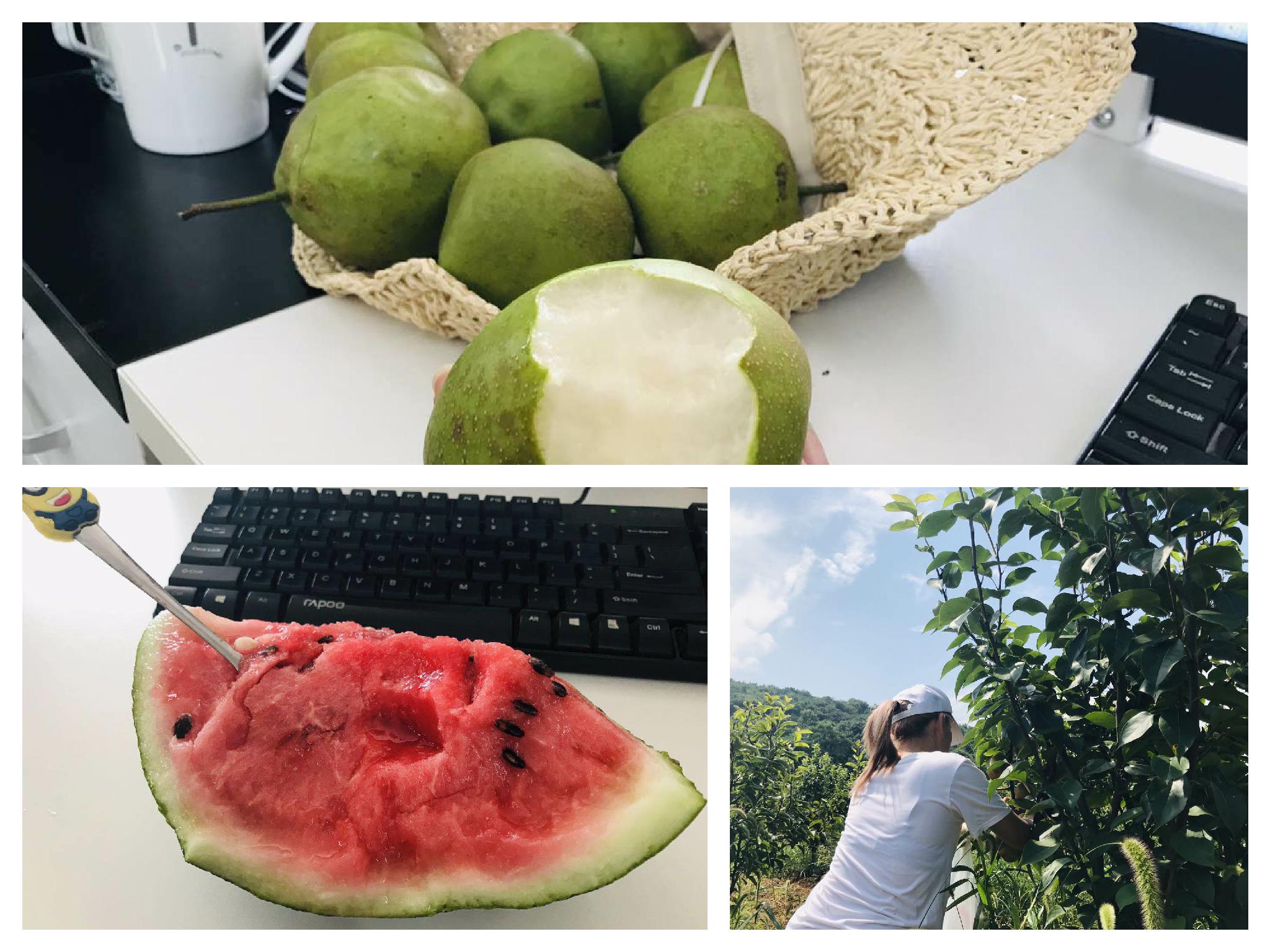 武汉乐农湖畔生态园休闲水果蔬菜采摘一日游