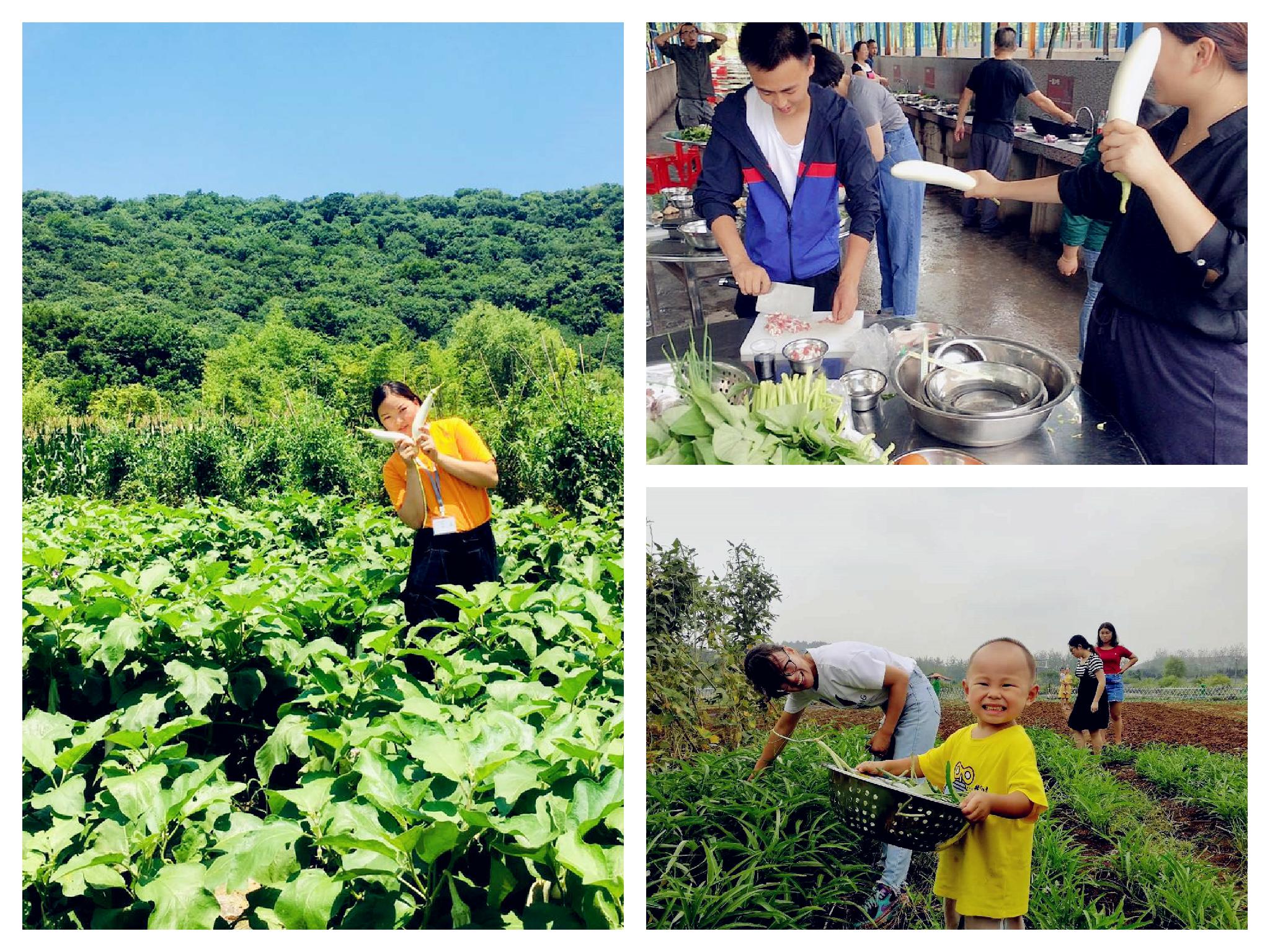 武汉野炊做饭乐农湖畔生态园