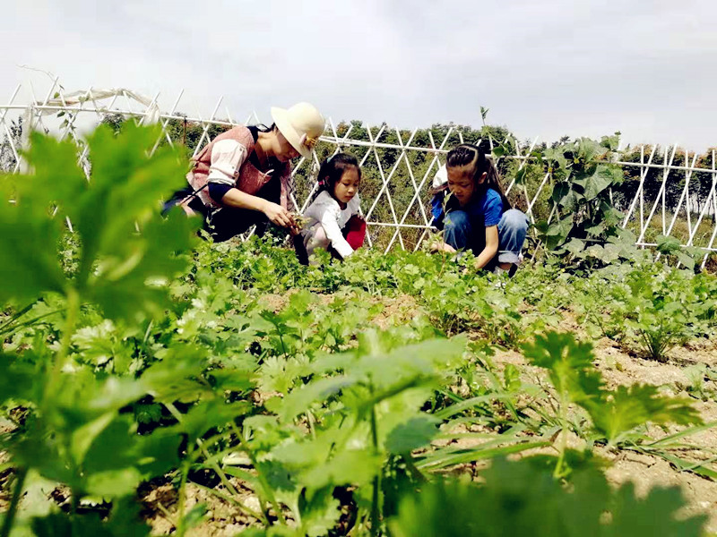 武汉乐农湖畔生态园野炊做饭休闲一日游