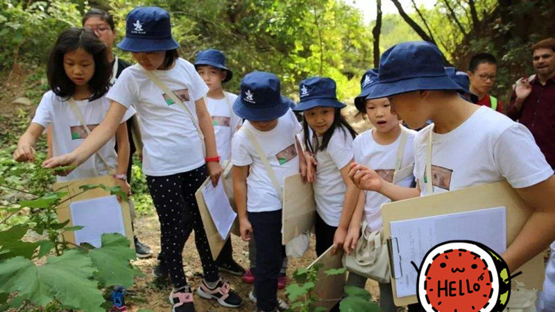 武汉学生一日游休闲旅游乐农湖畔生态园