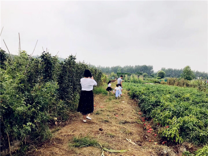 武汉学生一日游休闲采摘