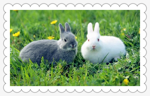 武汉乐农湖畔生态园休闲农家乐一日游