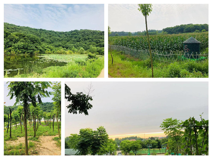 武汉好玩的农家乐乐农湖畔生态园