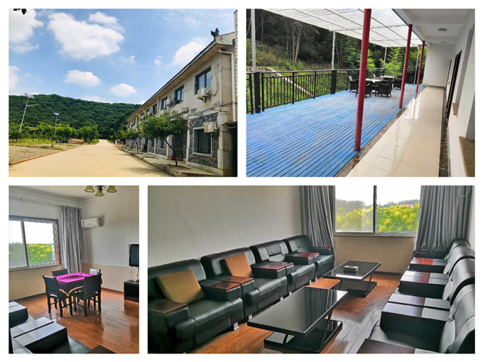 武汉好玩的农家乐住宿乐农湖畔生态园