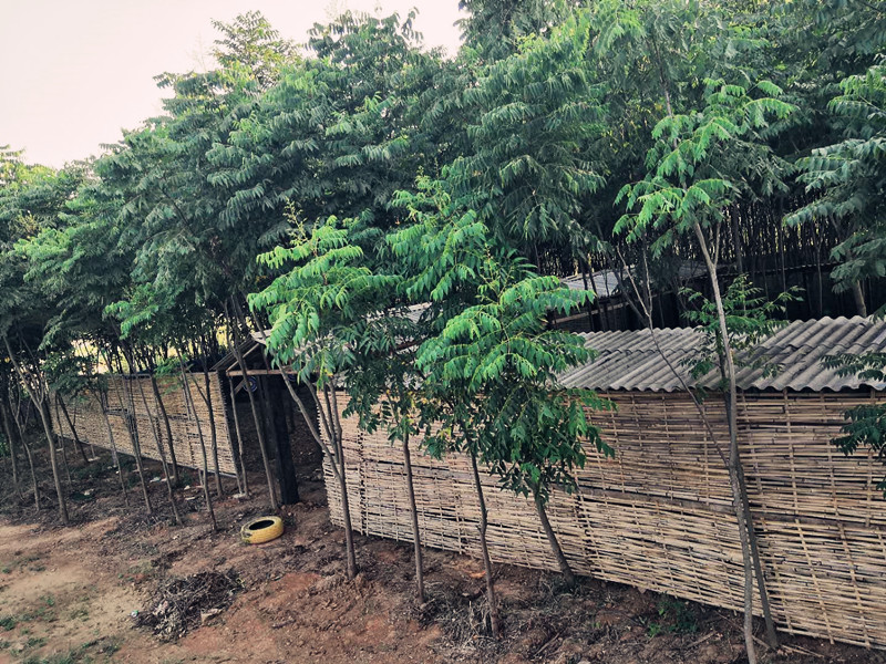 武汉乐农湖畔射箭场