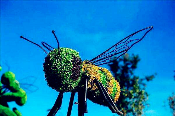 武汉好玩的农家乐的农家乐