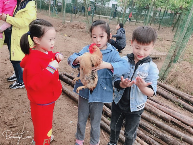 武汉亲子游野炊做饭乐农山庄