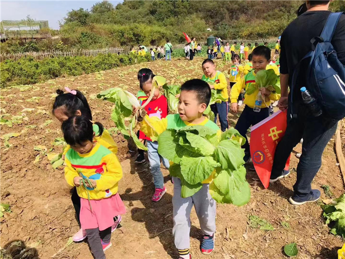 武汉好玩的地方乐农湖畔生态园休闲一日游采摘