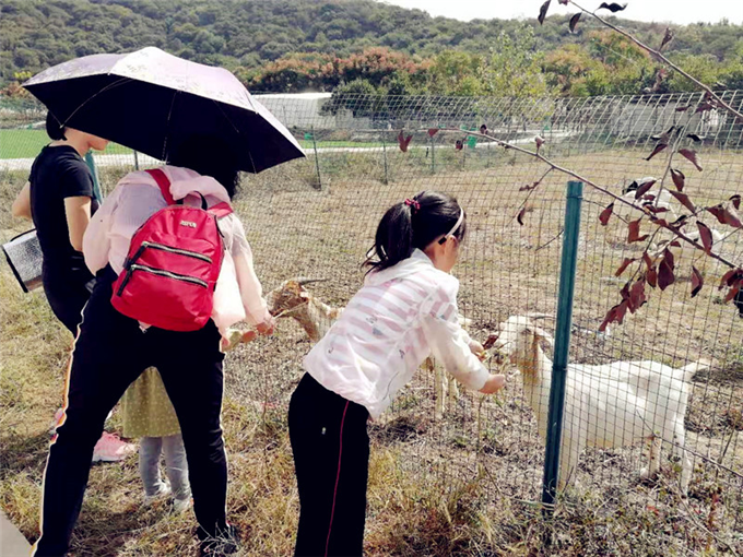 武汉亲子游好去处武汉好玩的地方乐农湖畔生态园