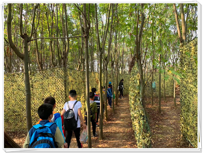 武汉学生一日游丛林迷宫