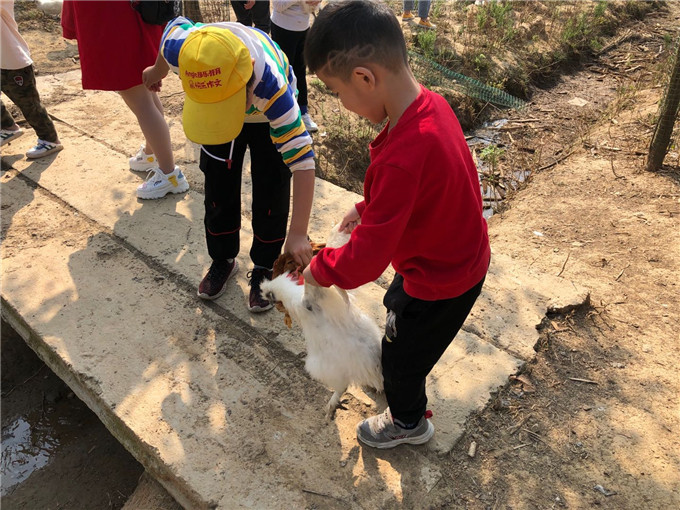 武汉乐农湖畔生态园野炊抓鸡