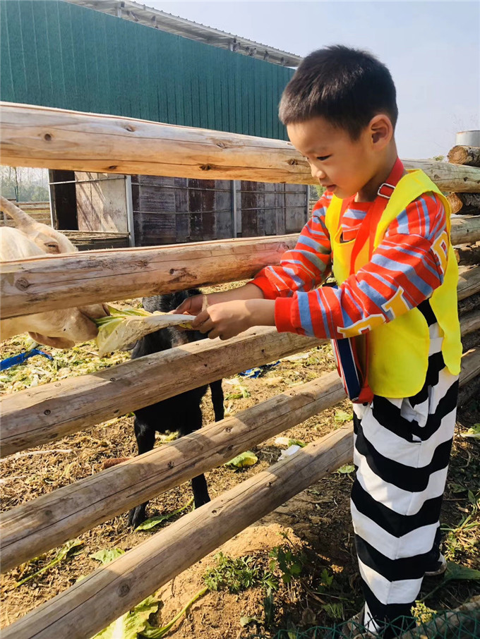 武汉乐农湖畔生态园休闲一日游
