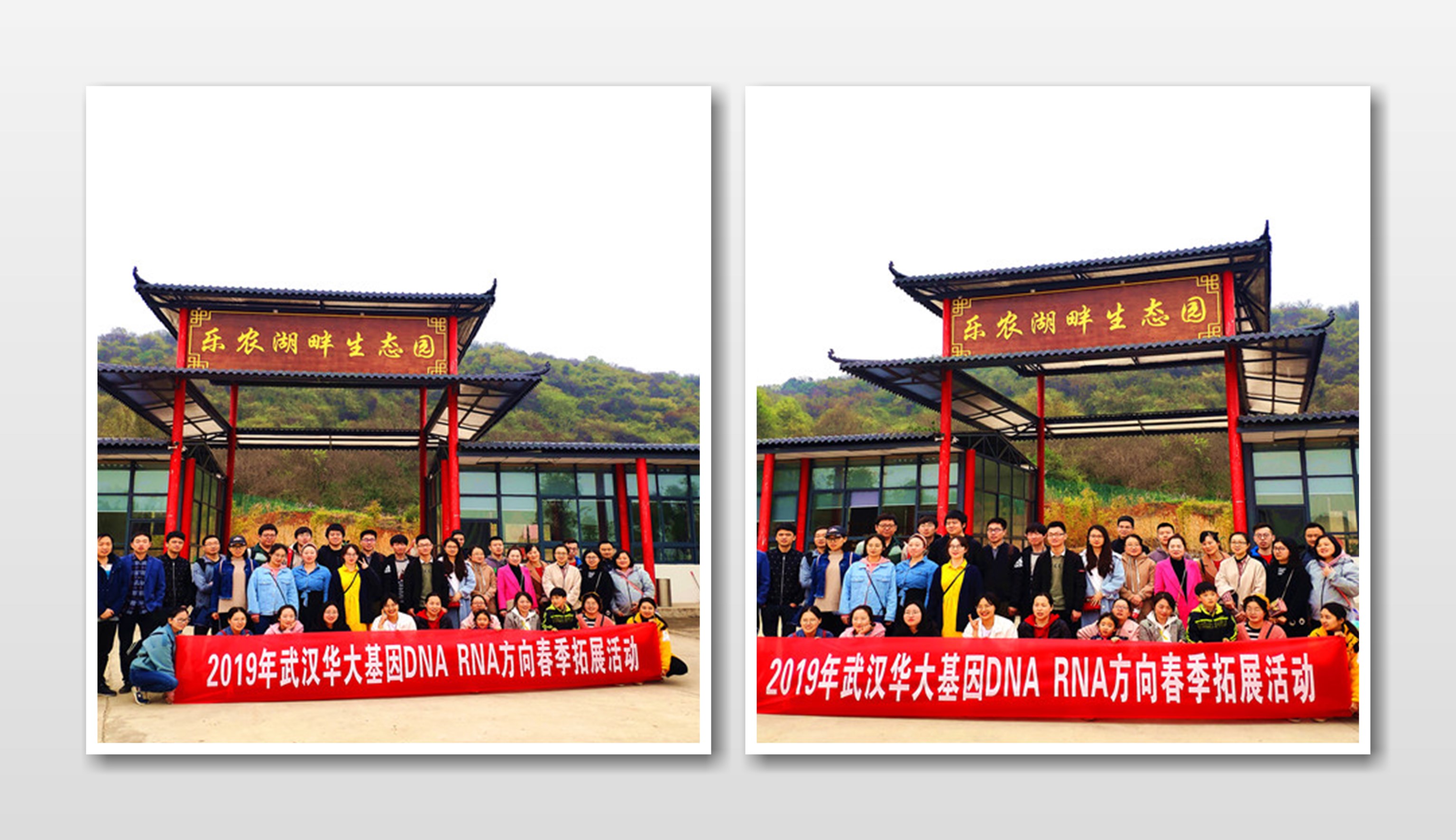 武汉集体出游