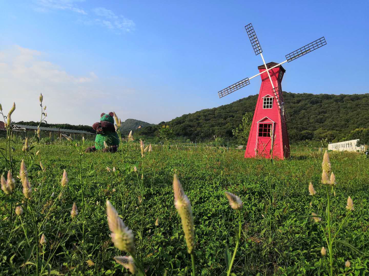 江夏公司团建