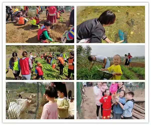 武汉学生班级出游